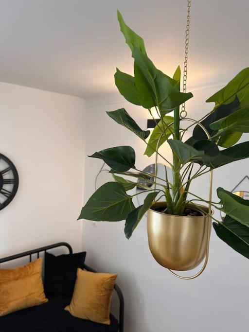 Appartement Cosy - 4 Personnes *